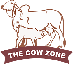 thecowzone
